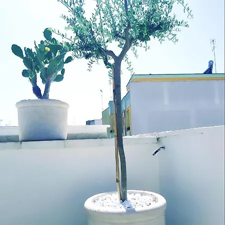 Apartmán Dimora Asmara 11 15 *