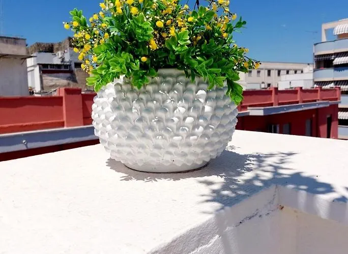 Dimora Asmara 11 15 * Brindisi